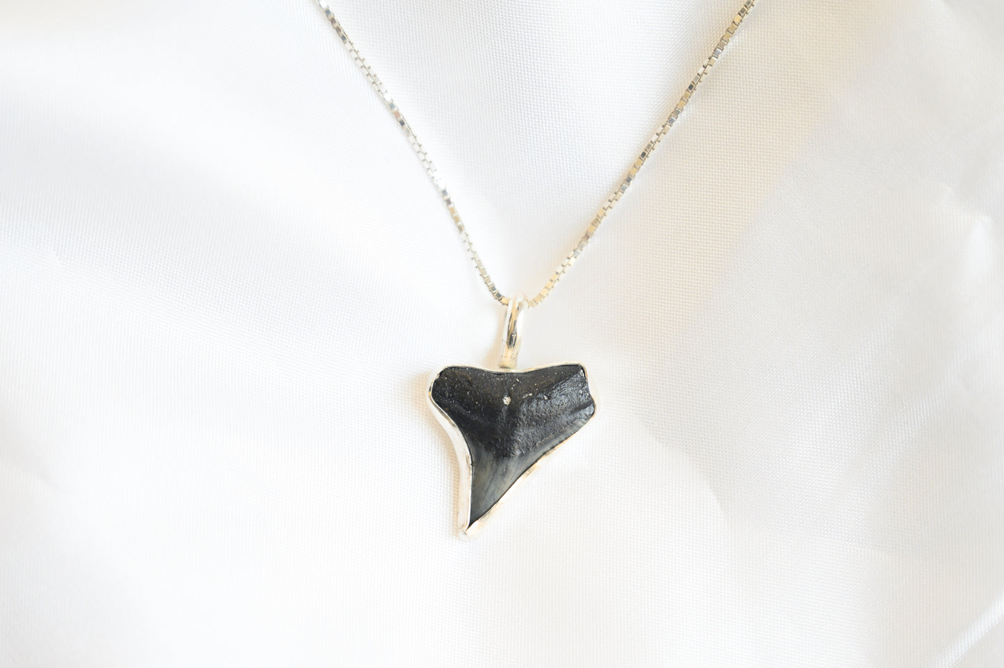 Modern Shark Tooth Necklace