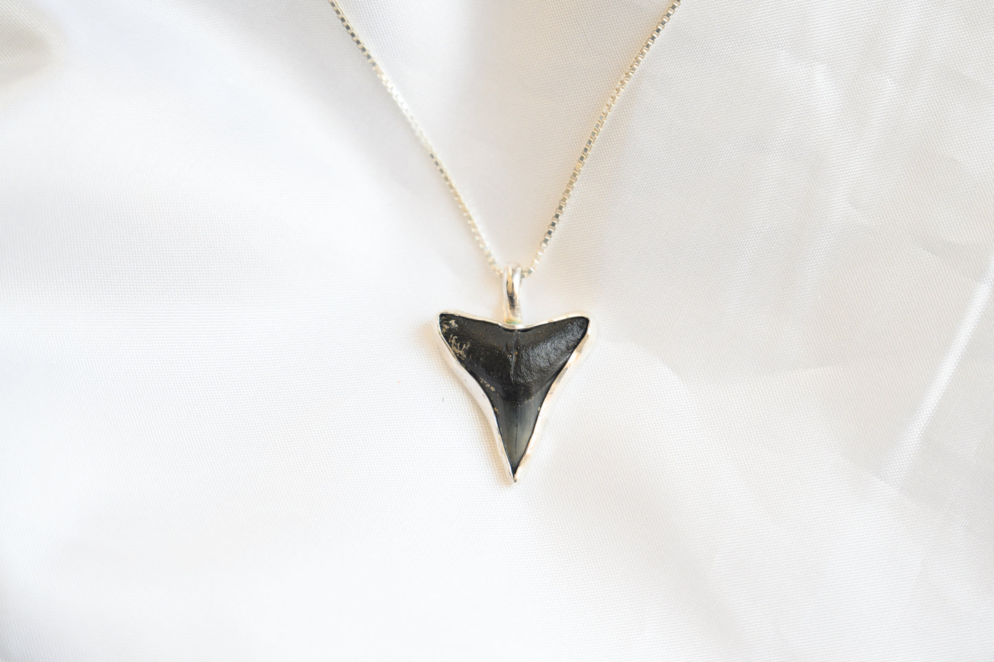 Modern Shark Tooth Necklace