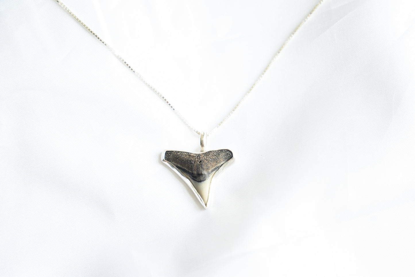 Modern Shark Tooth Necklace