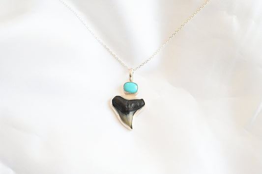 Shark Tooth Necklace w/ Turquoise